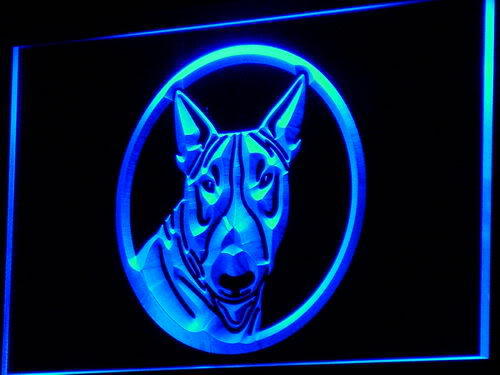 Bull Terrier Dog Puppy Pet Shop Neon Light Sign